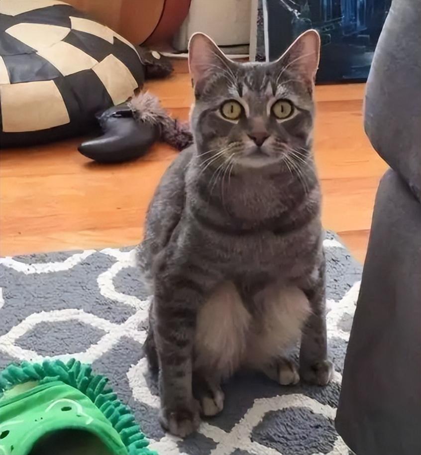 在俗人岛华人论坛找瑟瑟片，为什么总被管理员踢出群？