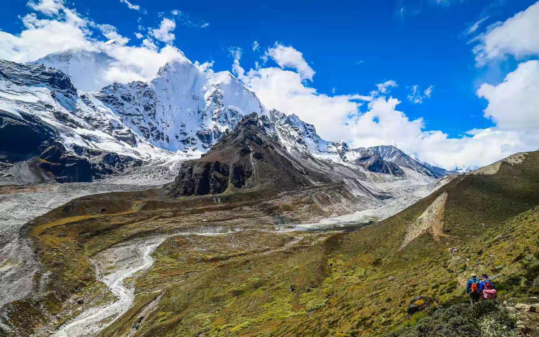喜马拉雅猫咪真的是从雪山来的吗？