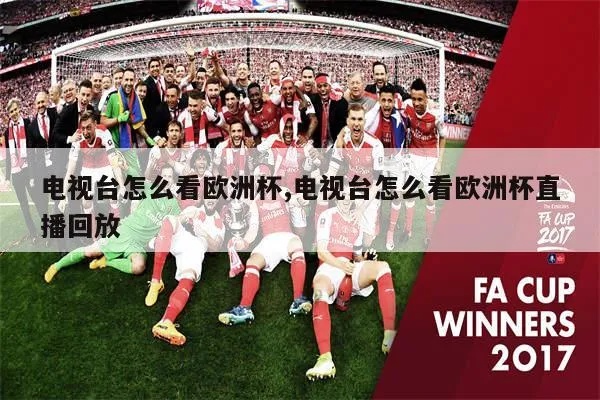 【欧洲杯现场直播平台】，带你找到最流畅的观赛方式