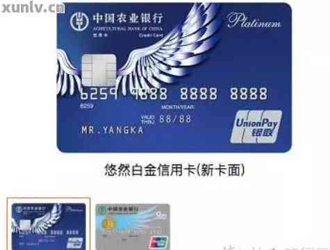 悠然白金卡申请条件及办理流程是什么?想办的朋友快来看这些关键信息 悠然白金卡申请条件及办理流程是什么?想办的朋友快来看这些关键信息