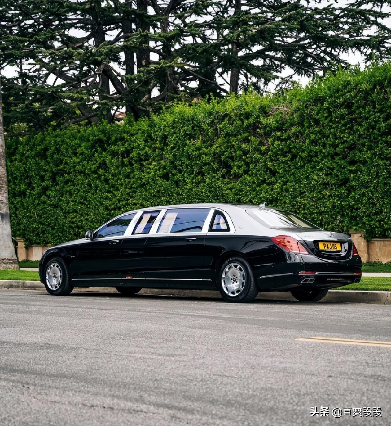 猫咪能吃青菜？这些蔬菜千万别喂！