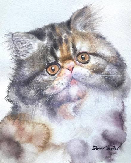 一张纸就能折出活灵活现的立体猫咪? 一张纸就能折出活灵活现的立体猫咪?