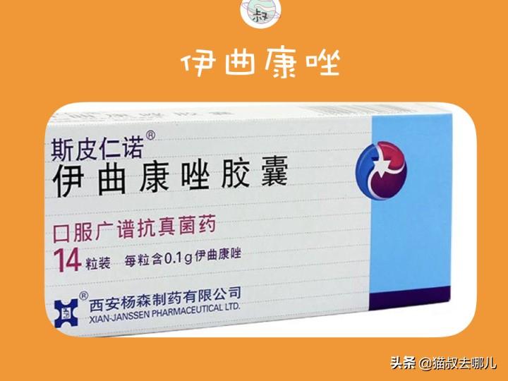 新手养猫最容易忽略的5个致命细节? 新手养猫最容易忽略的5个致命细节?