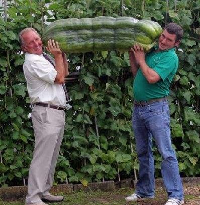 在英国找不到中国超市?华人论坛隐藏着哪些生活神器? 在英国找不到中国超市?华人论坛隐藏着哪些生活神器?