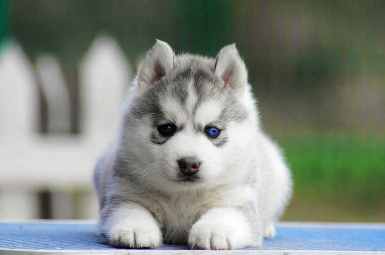 Cara Hack Mesin Slot: Pentingnya Menjaga Hukum dalam Permainan