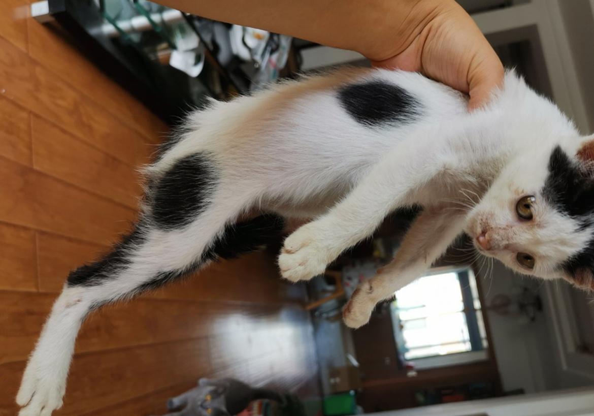 权志龙贴吧被炸成废墟？这届网友到底在吵什么？