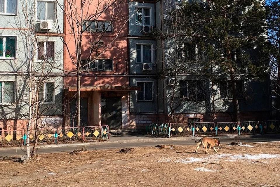 在俄罗斯被房东坑了怎么办？