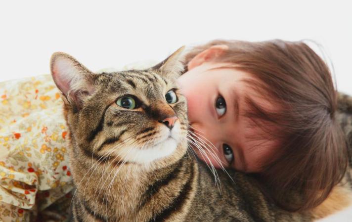 猫咪说话视频到底是怎么拍出来的？