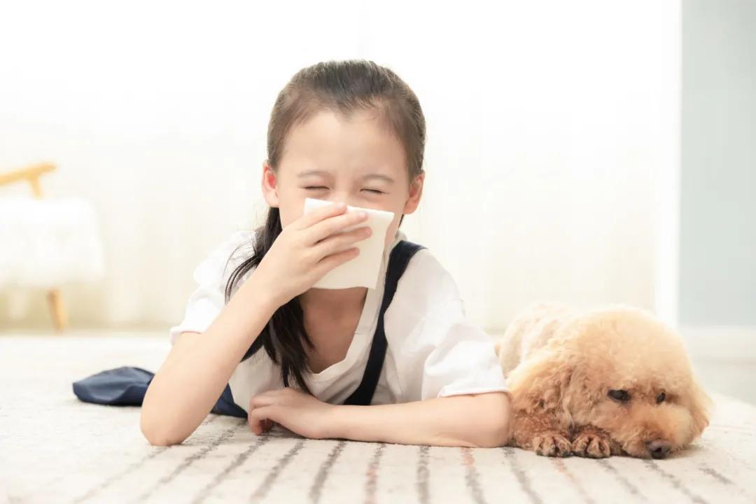 你家猫主子打喷嚏流鼻涕真是感冒吗? 你家猫主子打喷嚏流鼻涕真是感冒吗?