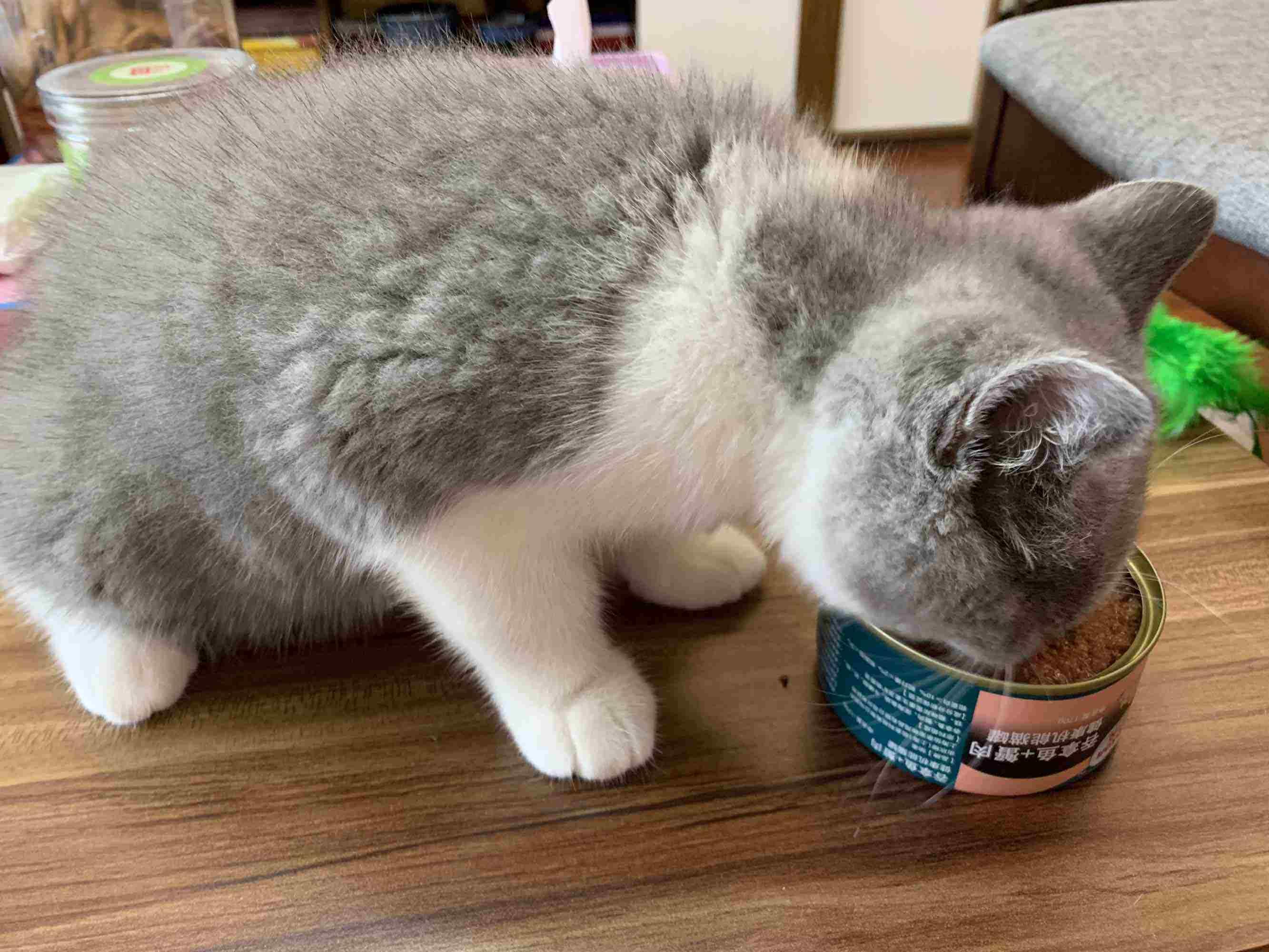 软件商城官方版：严格审核保障安全，汇聚优质软件满足多样需求