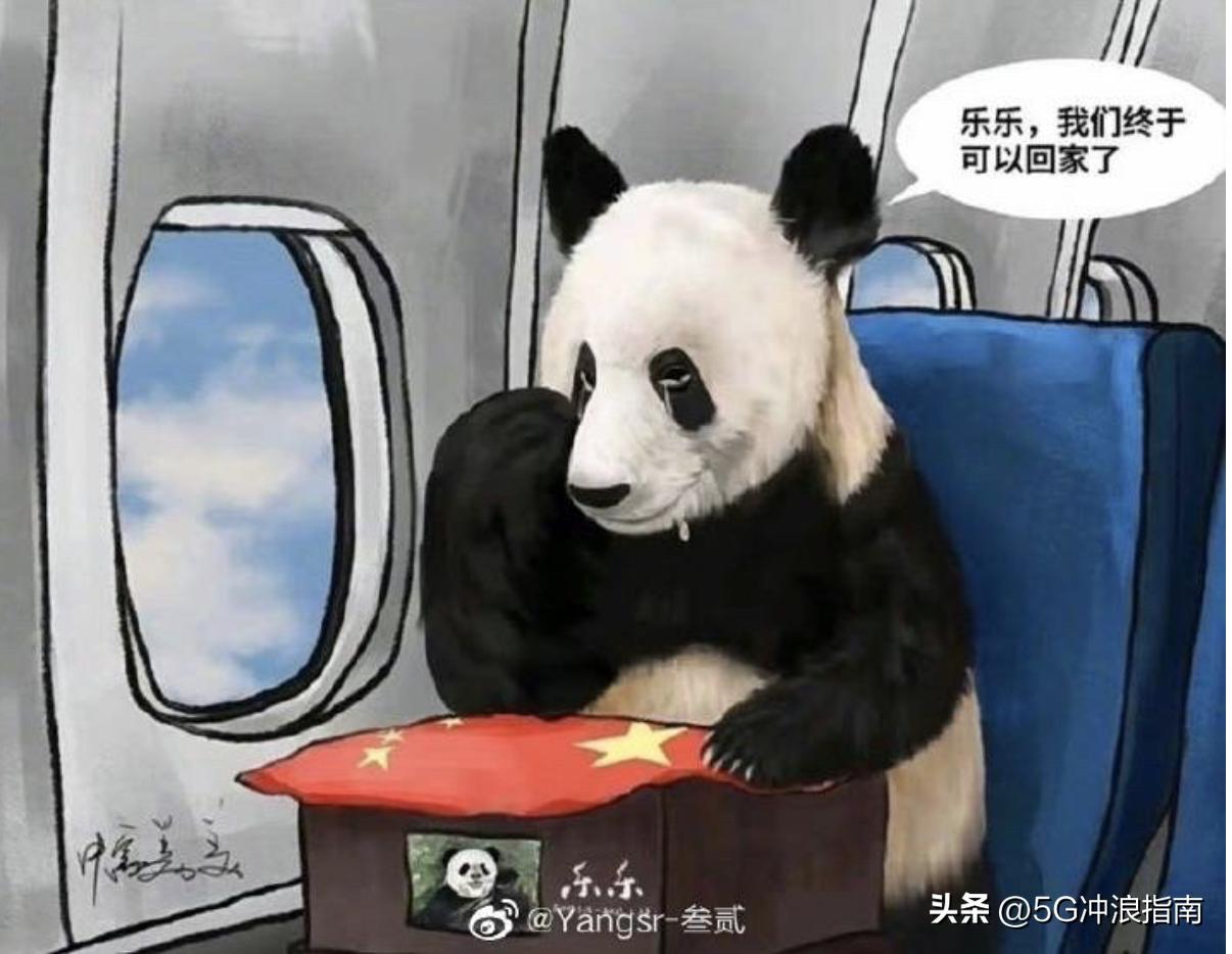 华人论坛丫丫日记到底该怎么玩？新手必看生存指南