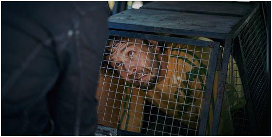 新手铲屎官如何选对猫咪体内驱虫药? 新手铲屎官如何选对猫咪体内驱虫药?