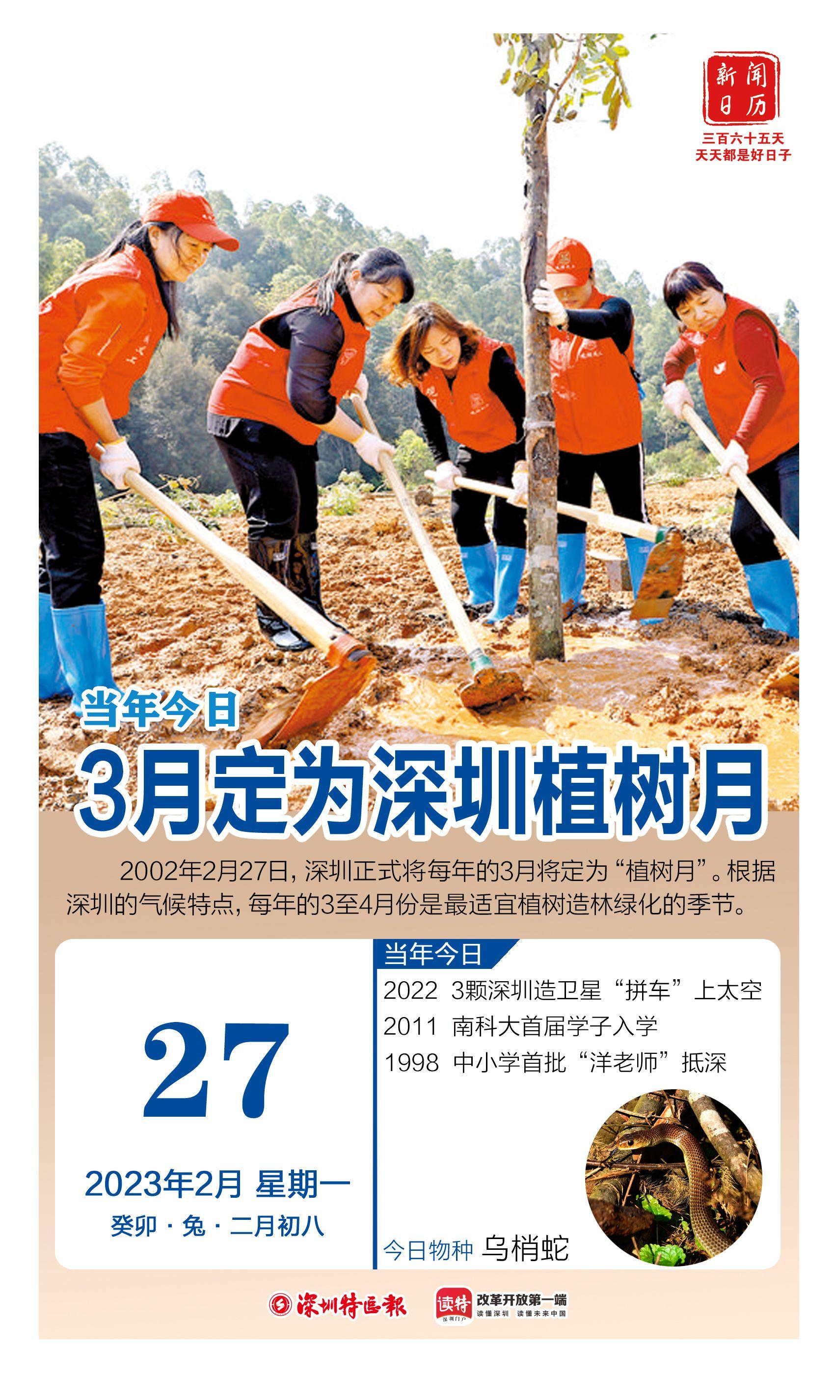 2011年12月的日历到底藏着哪些秘密？