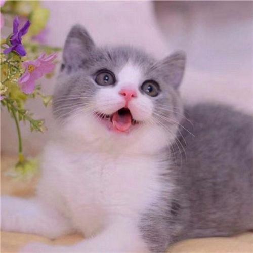 Harga Mesin Slotting Kecil: Penting dan Ramah Biaya untuk Usaha Kecil