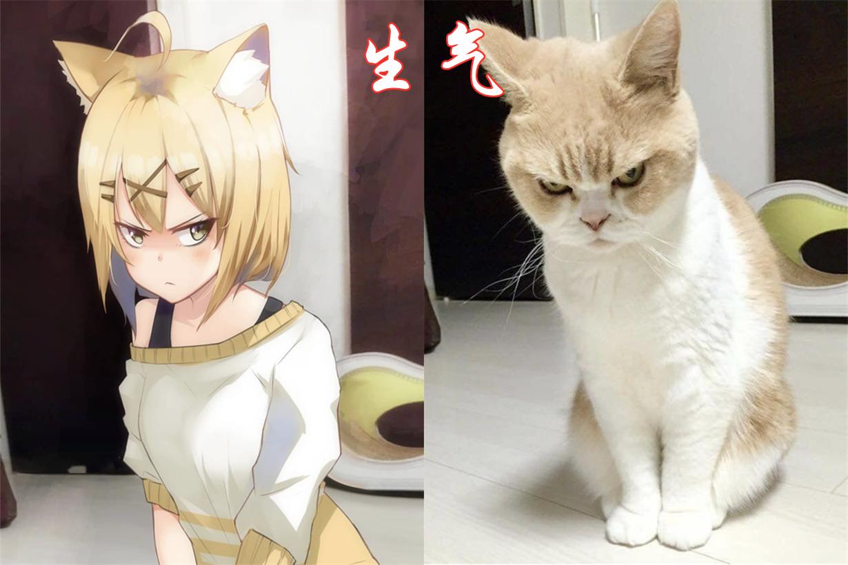 零基础如何画出会卖萌的猫咪? 零基础如何画出会卖萌的猫咪?