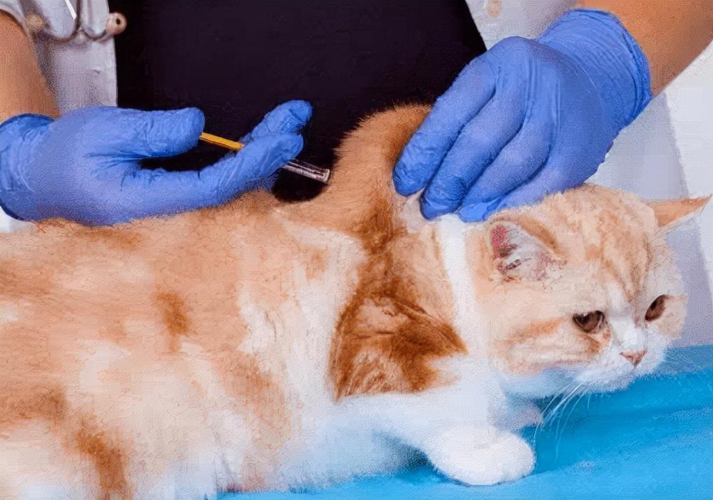 算命微信群真的能看透你的人生剧本吗? 算命微信群真的能看透你的人生剧本吗?