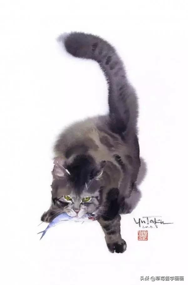 哪种猫咪能让你看一眼就沦陷？