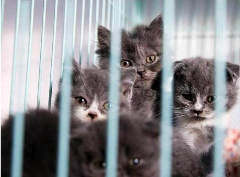 2014年的农历日期到底该怎么查? 2014年的农历日期到底该怎么查?