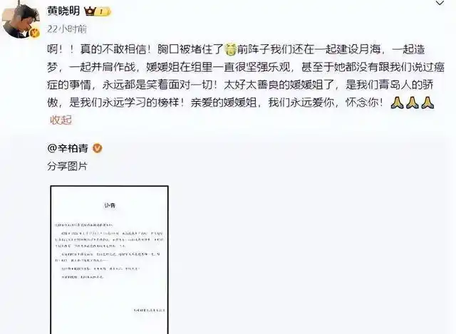 朱媛媛癌症去世之谜_z朱媛媛什么癌症_朱媛媛病床照片曝光