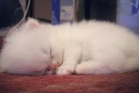 手残党玩乌塔卡总送人头？