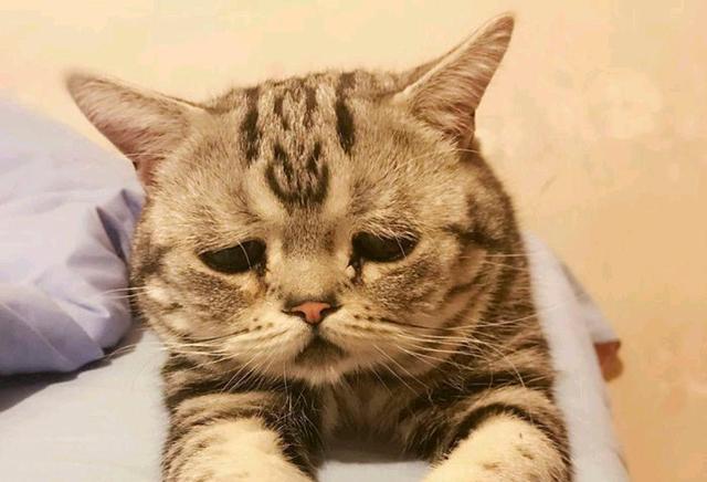 收到钞票总怕假?手把手教你成为鉴钞高手! 收到钞票总怕假?手把手教你成为鉴钞高手!