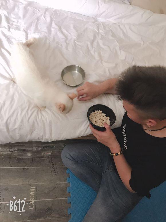 猫咪为什么总在半夜哼哼唧唧？