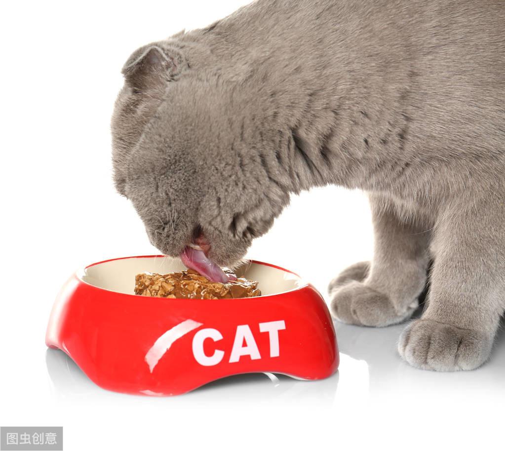 猫咪突然不爱吃饭？这5个方法帮你找出真相！