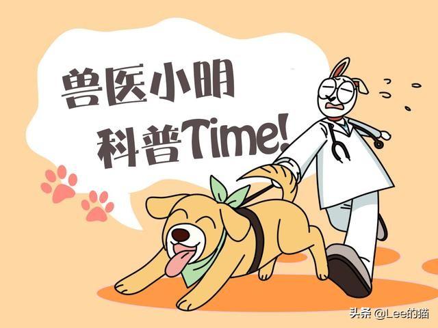 新手小白如何选到靠谱的东风日产两厢车？