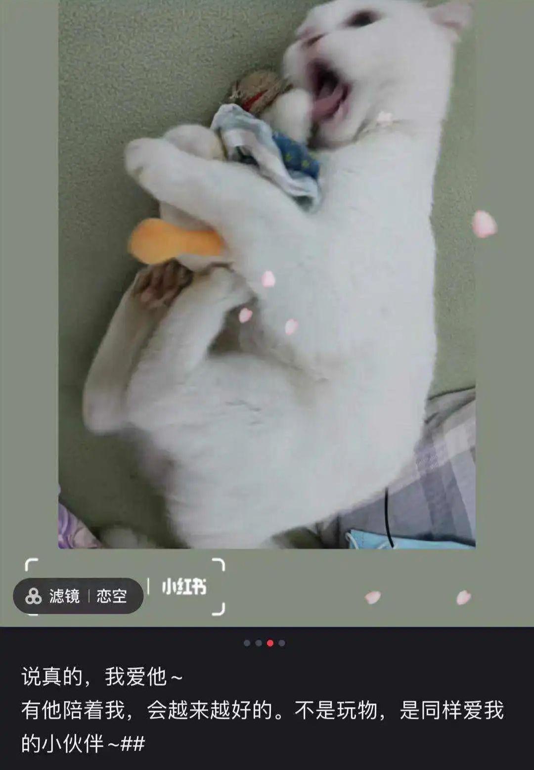 猫咪吐血了还能活吗？