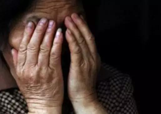 宁波哪里能免费领养到健康猫咪？