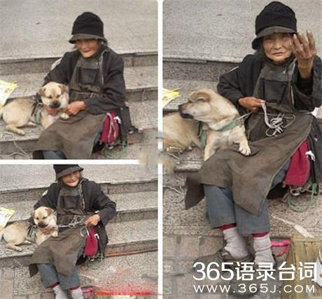 梦见算命先生是福还是祸？