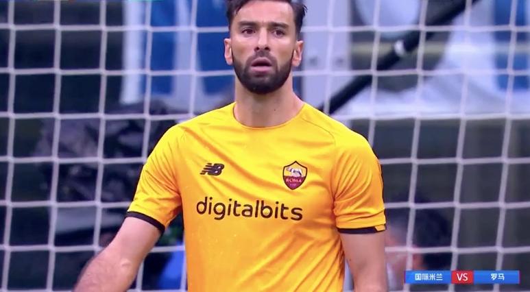 你家猫主子突然飞扑过来是几个意思？