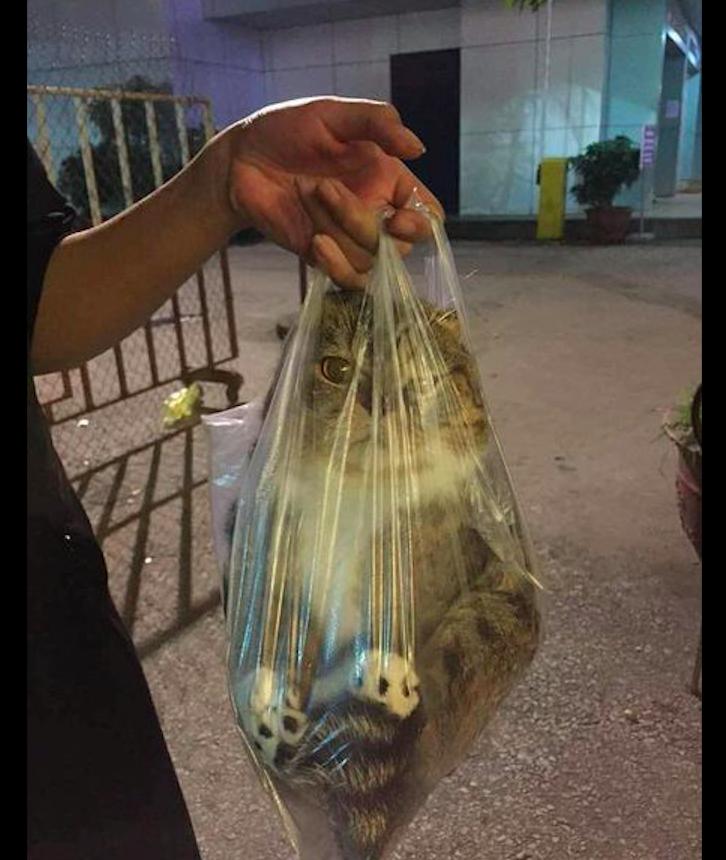 足球分析软件哪个准确率高 精准足球分析app大全