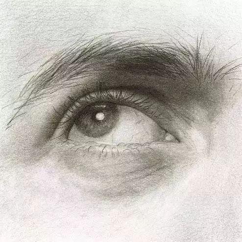 你家猫主子最近总眯眼睛？别慌！新手必看的猫咪眼睑急救指南