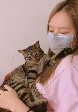 猫咪偷吃核桃会出事吗？