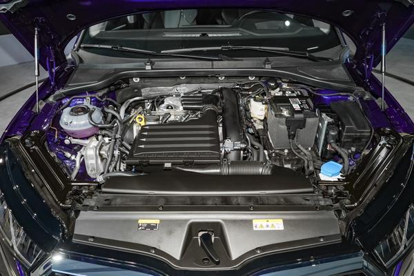 刚注册丫丫港湾账号一脸懵？这些隐藏功能老用户从不说！