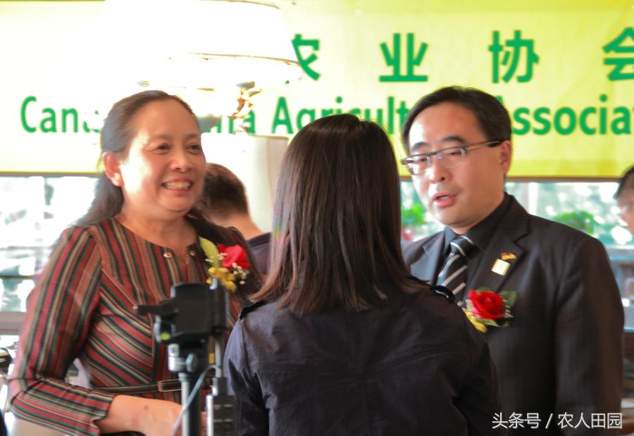 在加拿大生活,华人论坛真的能帮你省下几万刀冤枉钱吗? 在加拿大生活,华人论坛真的能帮你省下几万刀冤枉钱吗?