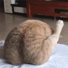 男人梦见情人三预警？2025解梦数据揭示情感陷阱