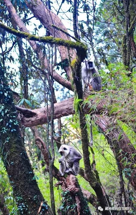 刚注册abc华人论坛,怎么玩转这个海外华人大本营? 刚注册abc华人论坛,怎么玩转这个海外华人大本营?