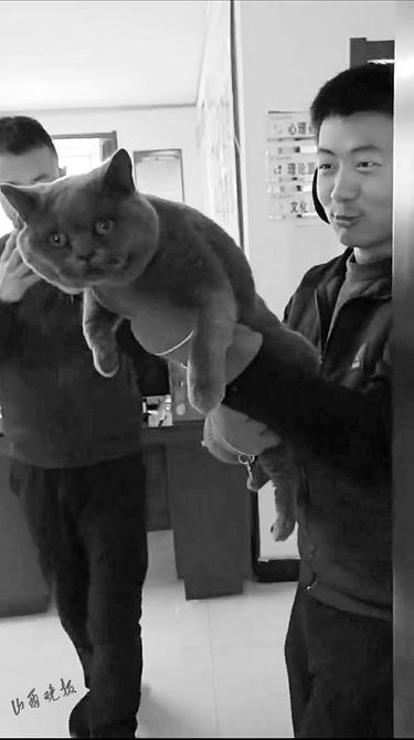 找不到猫咪社区入口?手把手教你正确打开方式! 找不到猫咪社区入口?手把手教你正确打开方式!