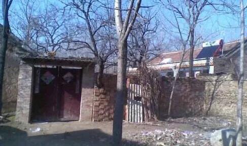 梦见杀猪见血是不是要倒大霉? 梦见杀猪见血是不是要倒大霉?