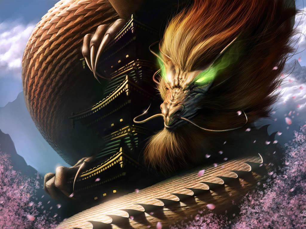 给猫喂猪肺会害死主子吗？