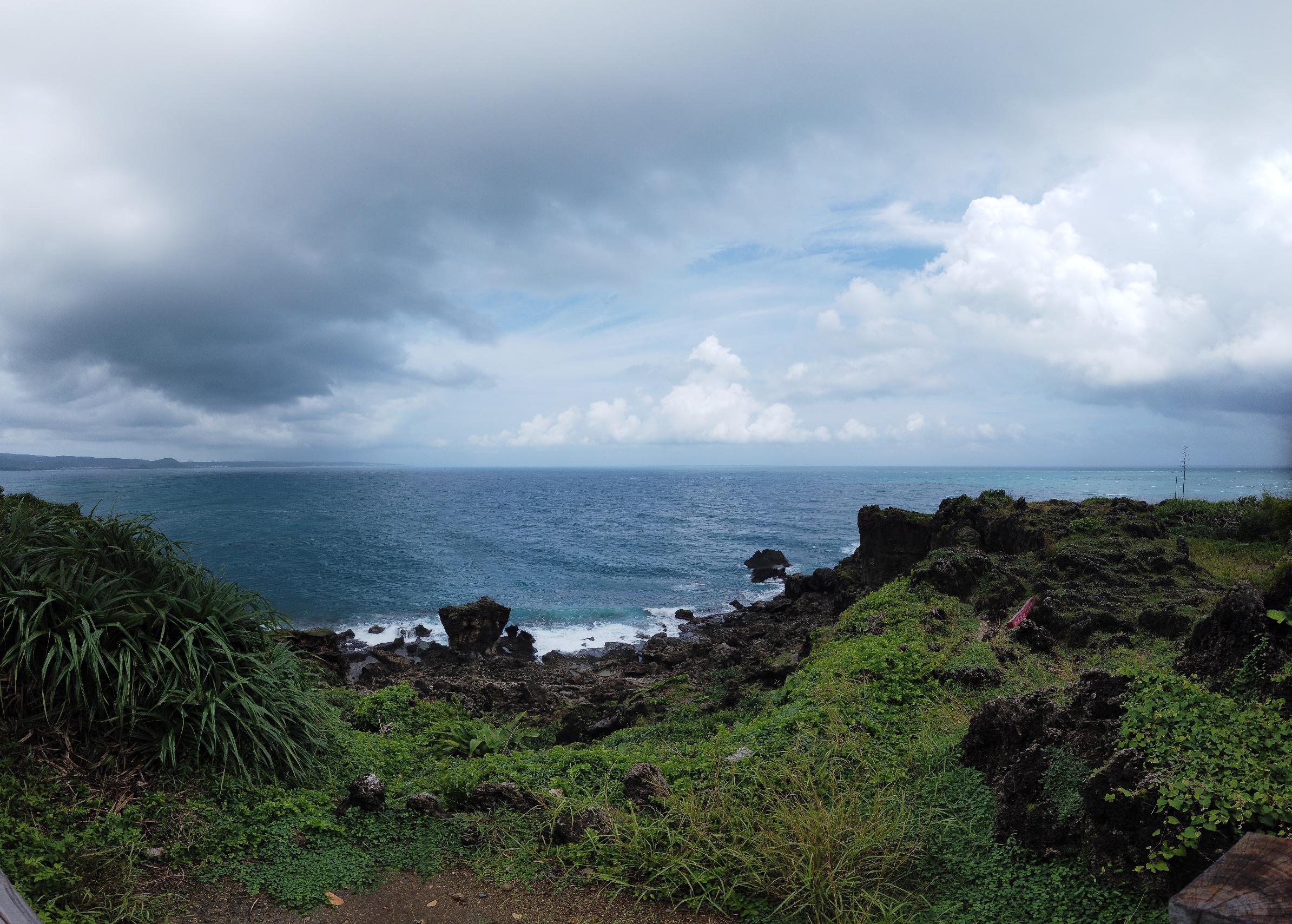 猫咪鼻头湿漉漉的到底是生病还是正常现象？