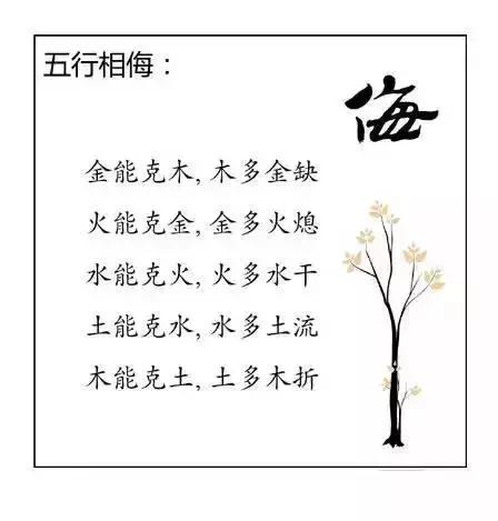 名字里藏着多少天机？八字算命真的能看透人生吗？
