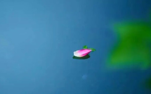 男命八字如何看婚姻？取好妻的八字有哪些特点？