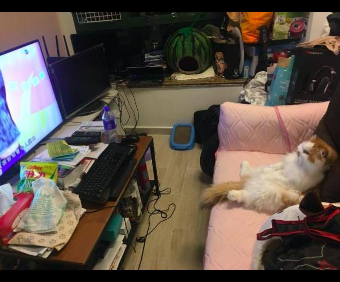 2025年梦见产科很多婴儿的5大预兆与化解术