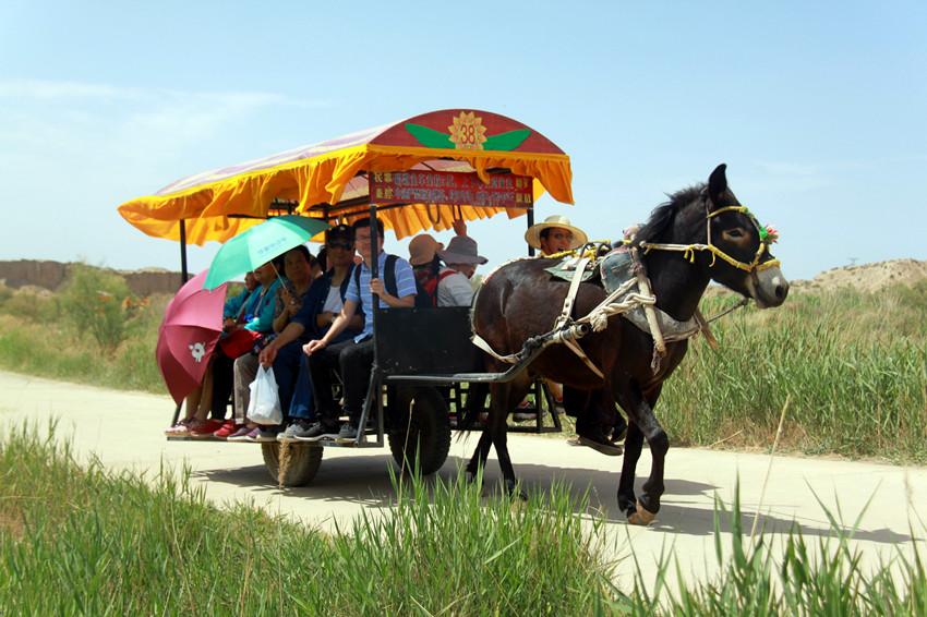 华盛算命到底靠不靠谱? 华盛算命到底靠不靠谱?