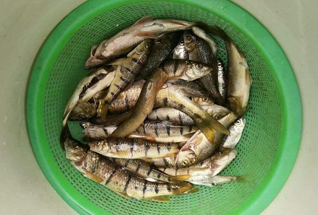 夜间行车安全必备，解析声音视频记录软件核心功能，如何避免“又疼又叫”的驾驶风险？