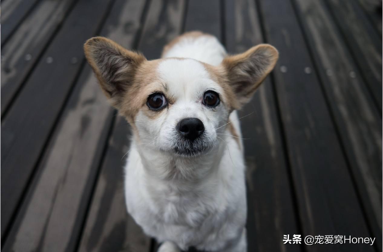 淘宝美工怎么学