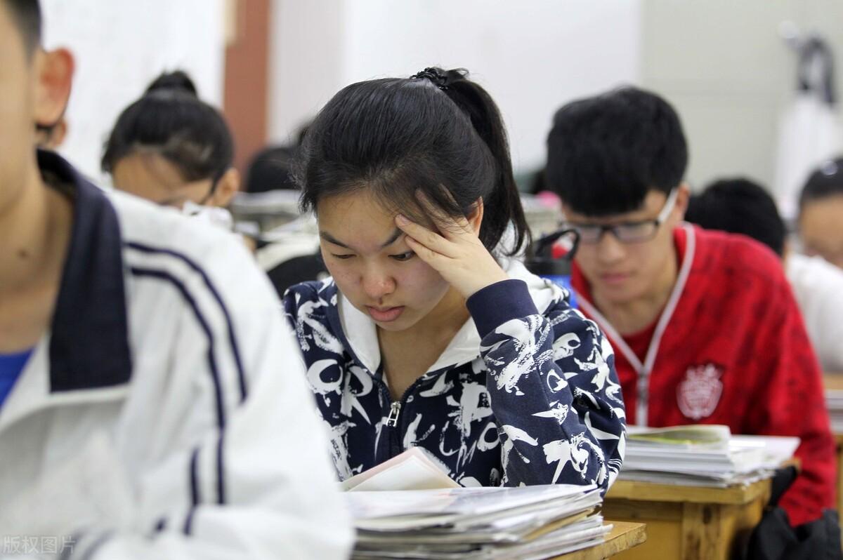 毕加索车友会到底藏着什么宝藏？